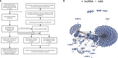 Comprehensive Analysis of N6-Methylandenosine-Related Long Non-Coding RNAs Signature in Prognosis and Tumor Microenvironment of Bladder Cancer